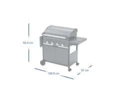 Campingaz Gasbarbecue 4 Series Select 4 Exs -Bo Camp Winkel 138 4 campingaz gasbarbecue 4 series select 4 exs afmeting dicht 2181088