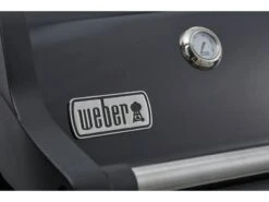 Weber Spirit E-225 Gbs Gasbarbecue Buitenkeuken -Bo Camp Winkel 43 3 weber spirit e 225 gbs gasbarbecue buitenkeuken 46312264